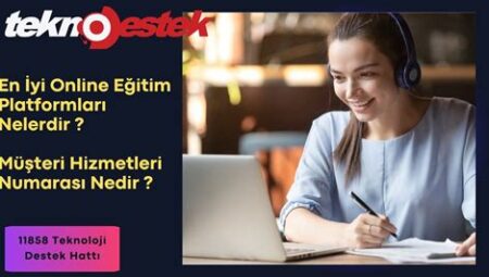 Online Eğitim Platformları: Evden İş Kurmanın Yeni Yolu